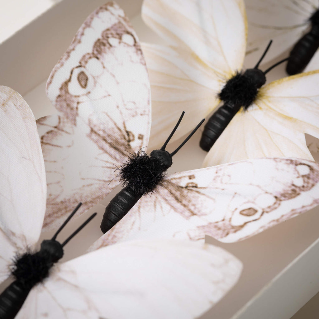Creamy Butterfly Accents      