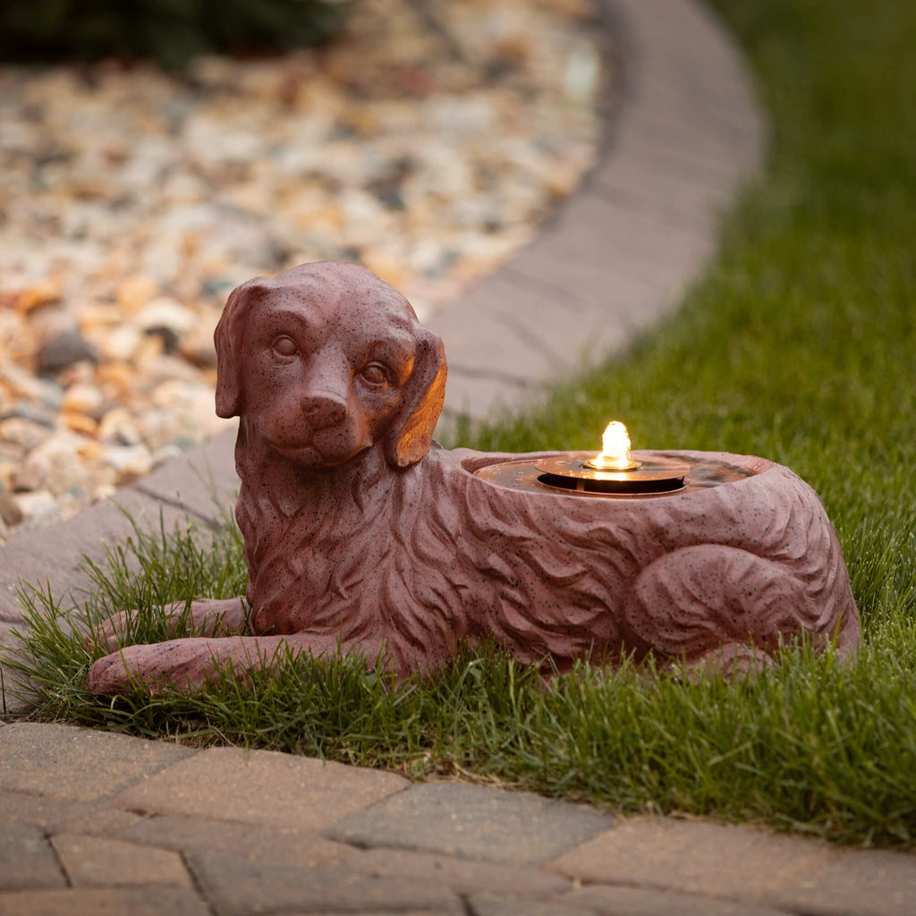 Copper Finished Dog Fountain  