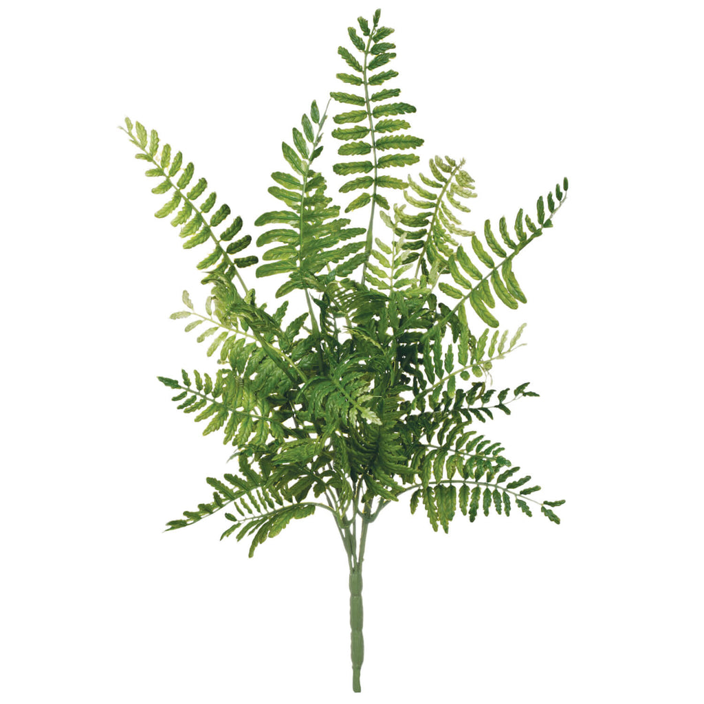 Fern Pick                     