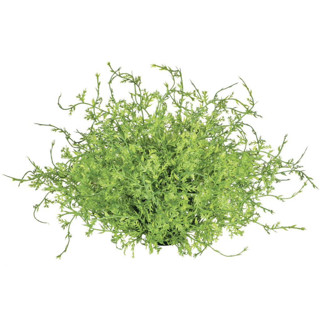 Coral Fern Half Orb           