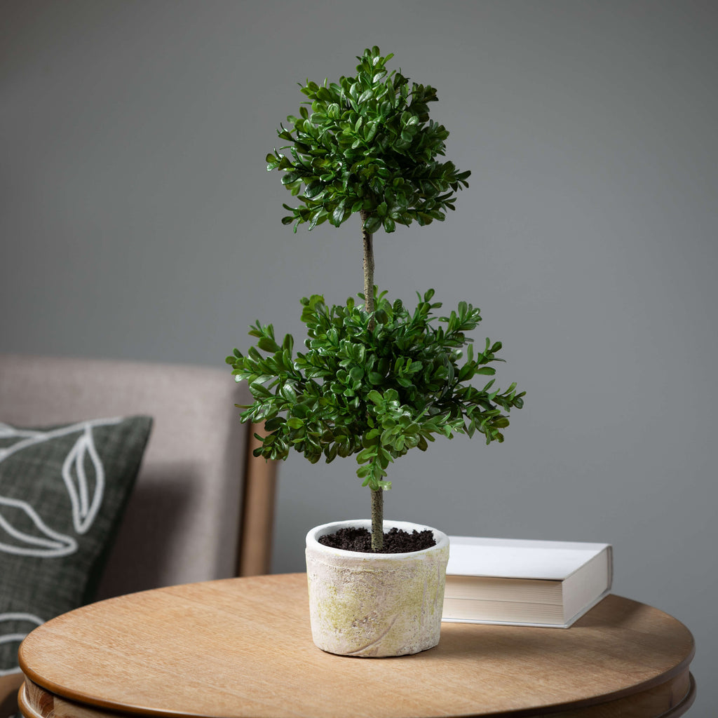 Double Boxwood Topiary        