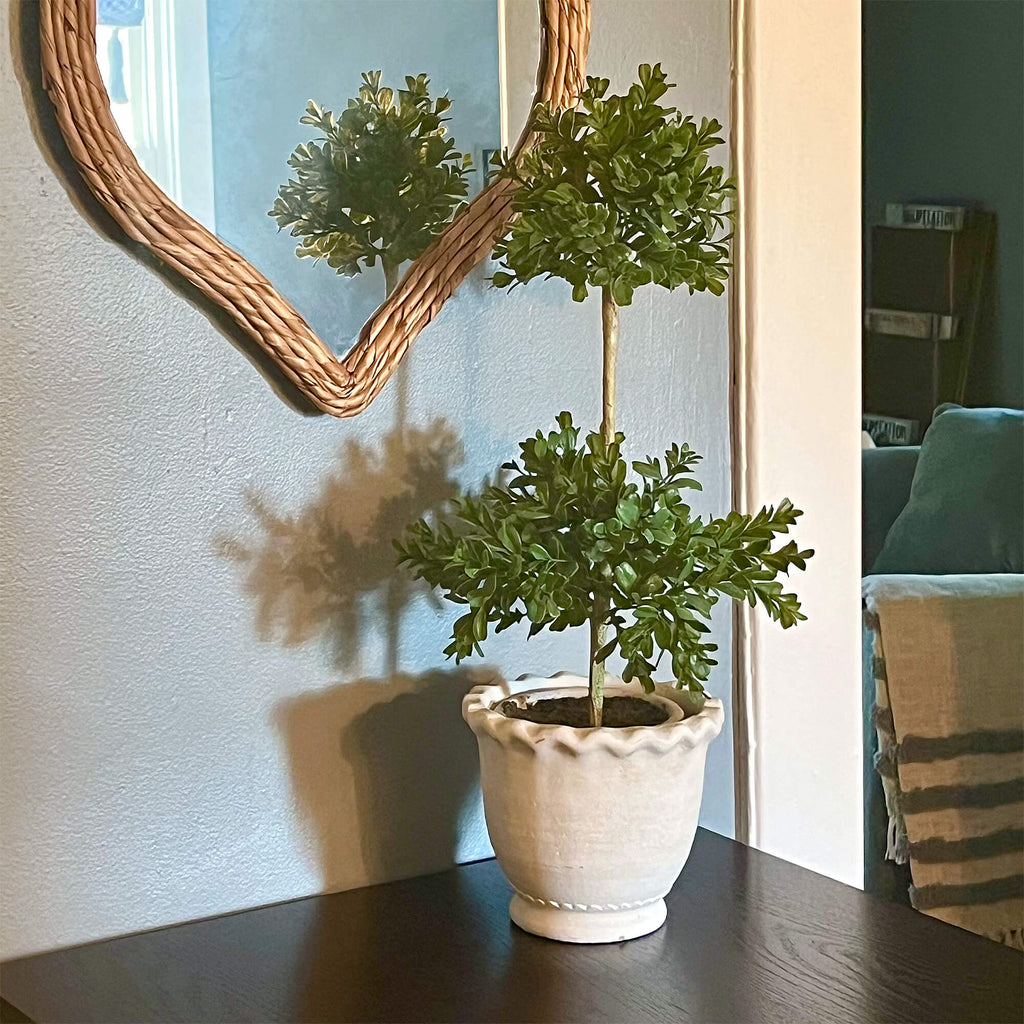 Double Boxwood Topiary        