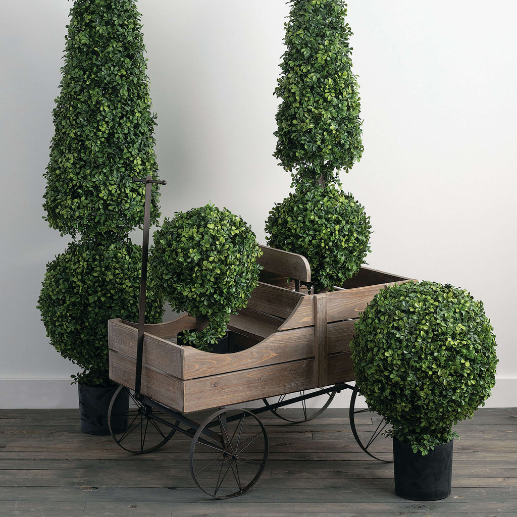 Round Boxwood Topiary In Pot  