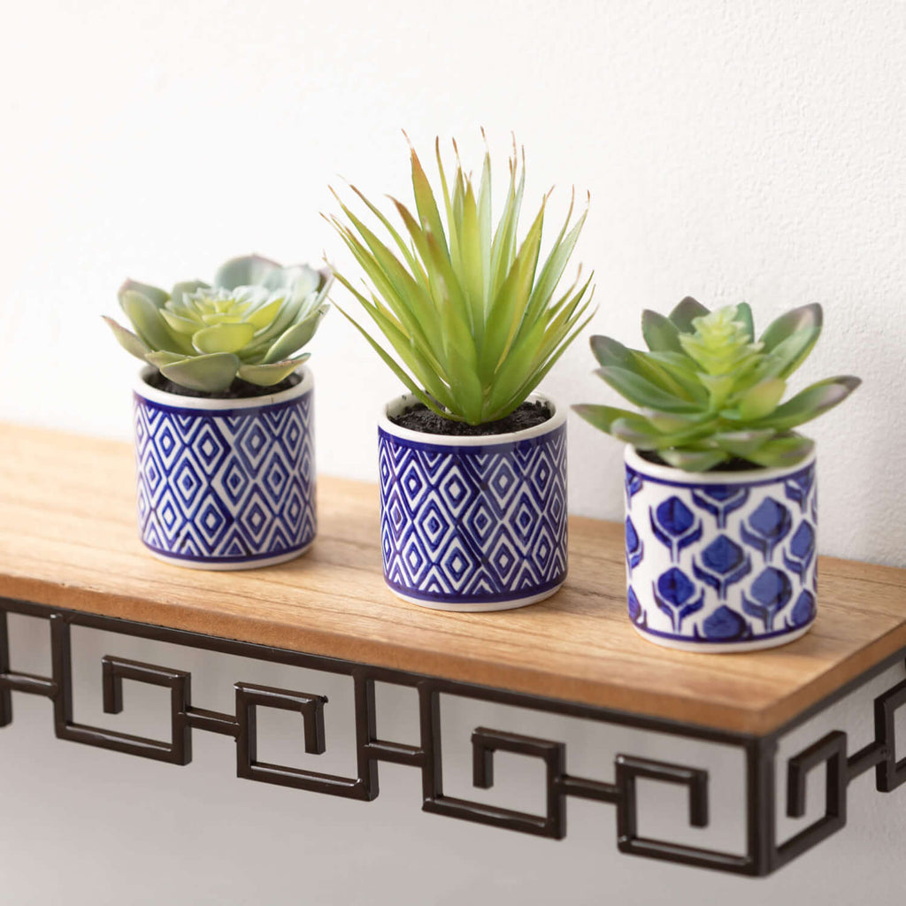 Succulent Trio In Printed Pots