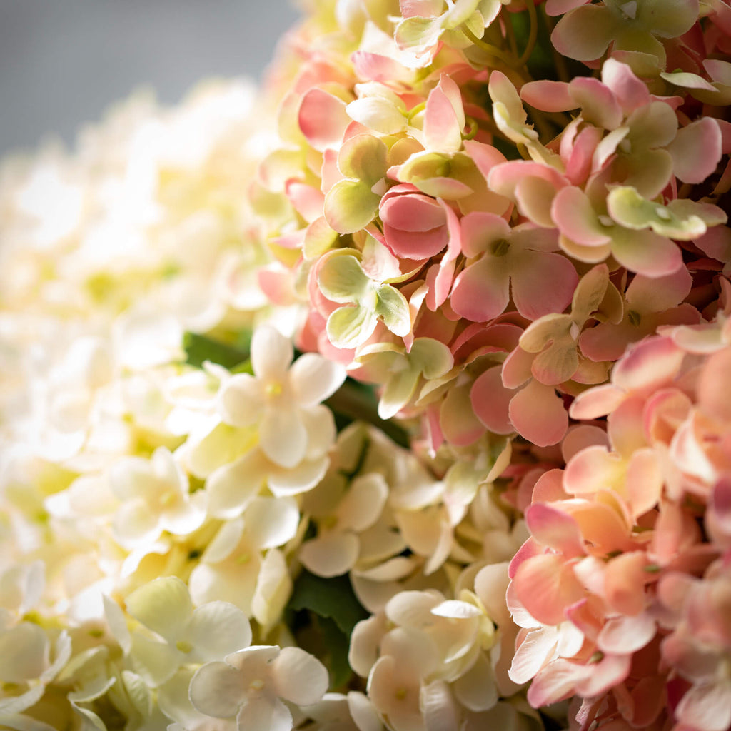 Soft Blush Hydrangea Bush Trio