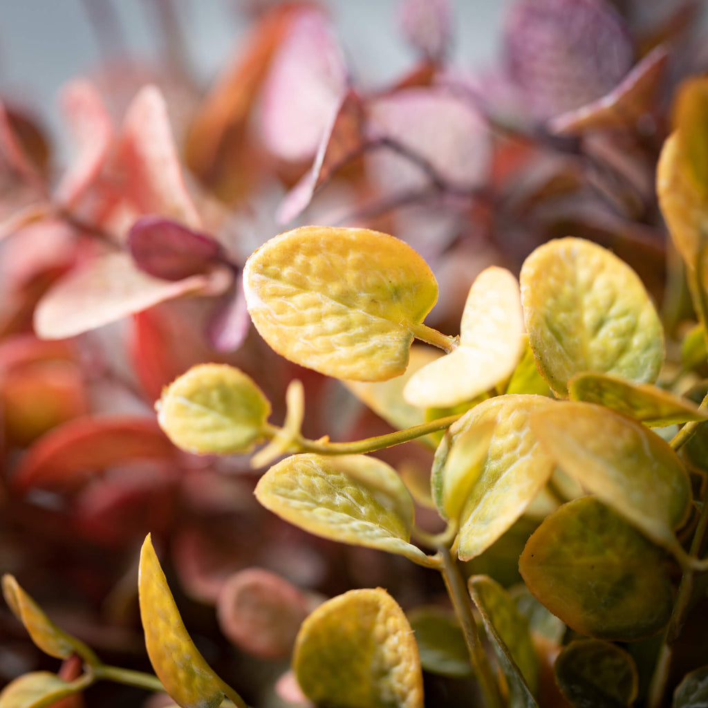 Rich-Hued Eucalyptus Bundles  