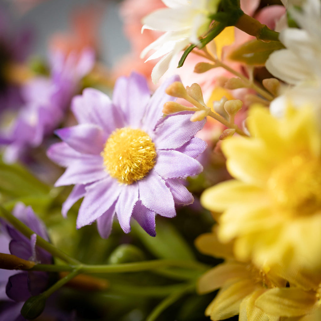 Cheery-Colored Daisy Bushes   