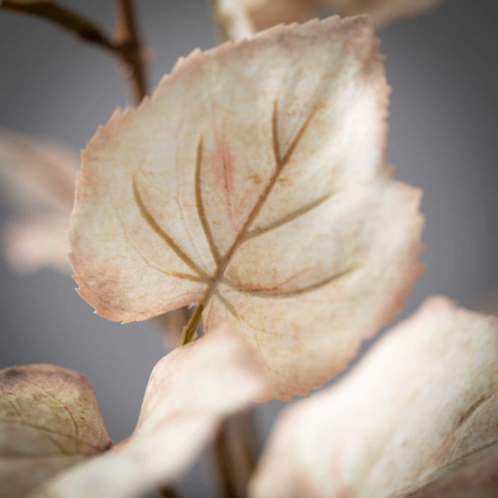 34" Tall Cream Tilia Spray    