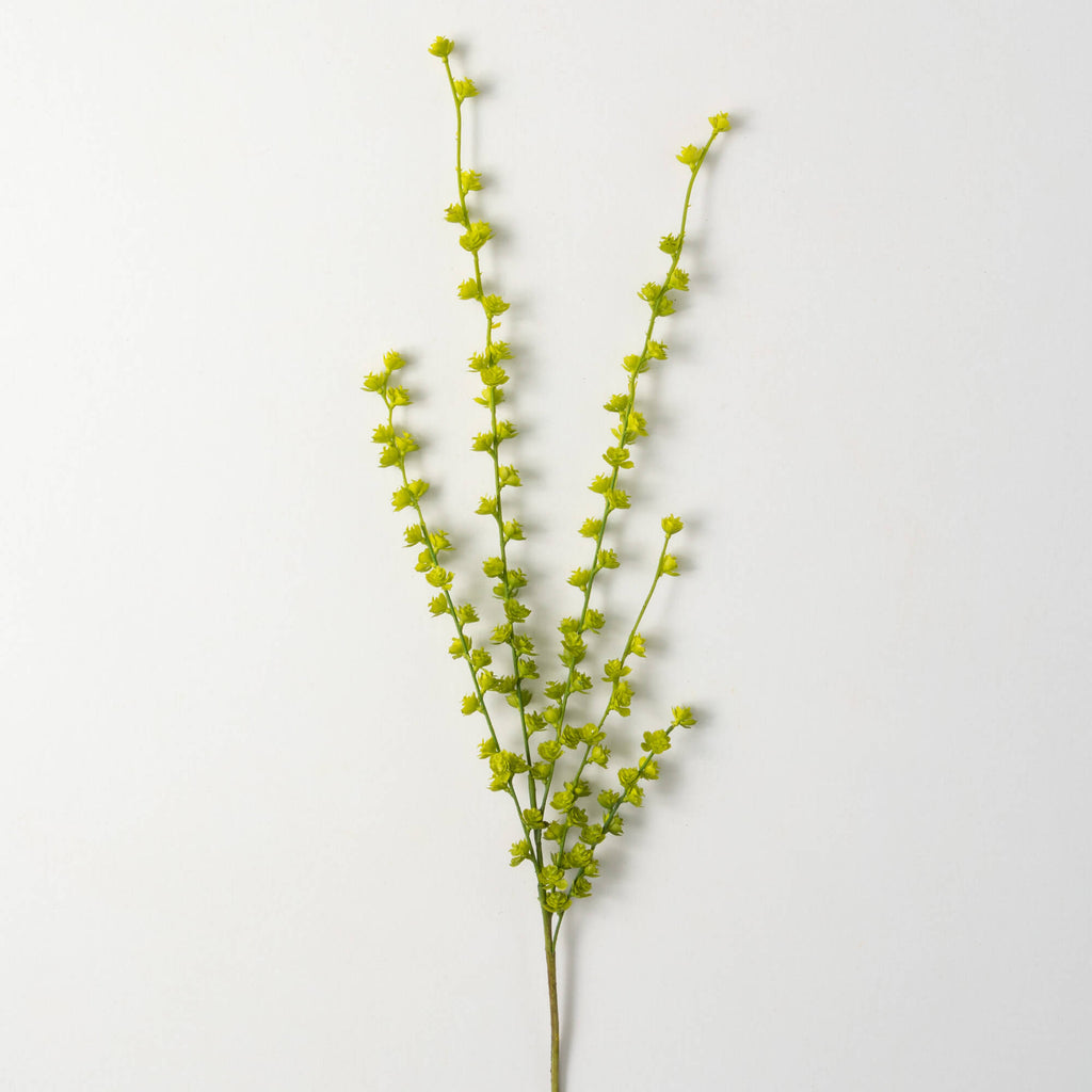 Hanging Rosemary Spray        