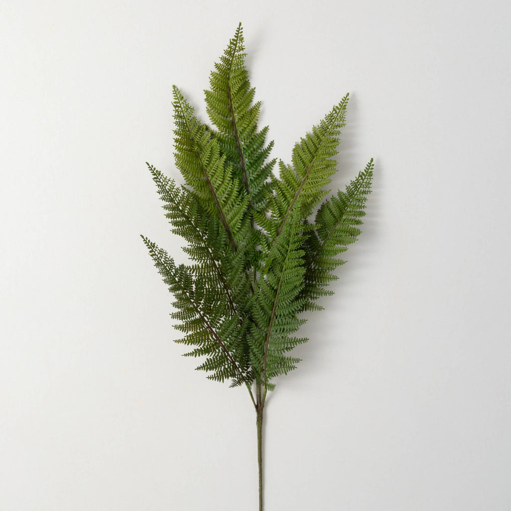 Large Fern Spray              