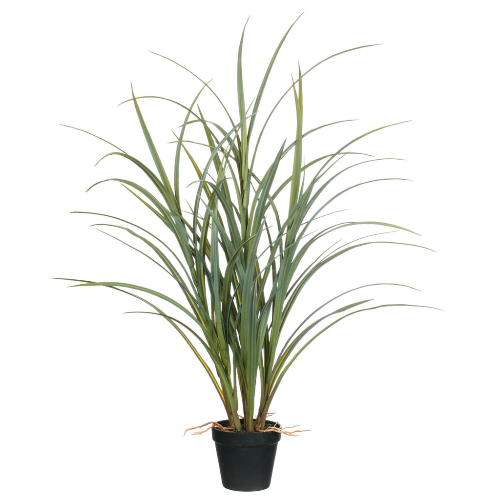 33" Potted Grass              