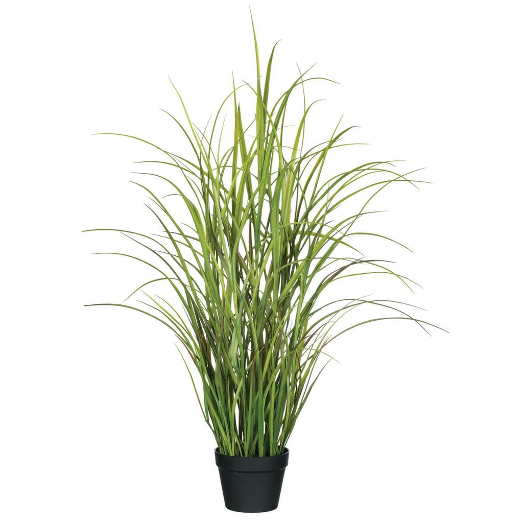 4' Potted Grass Plant         