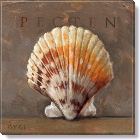 Pecten Giclee Wall Art        