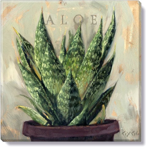 Aloe Giclee Wall Art          