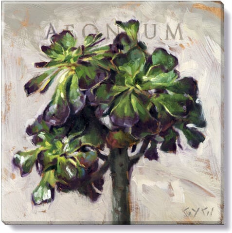 Aeonium Giclee Wall Art       