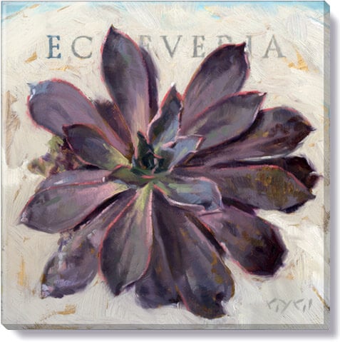 Echeveria Giclee Wall Art     