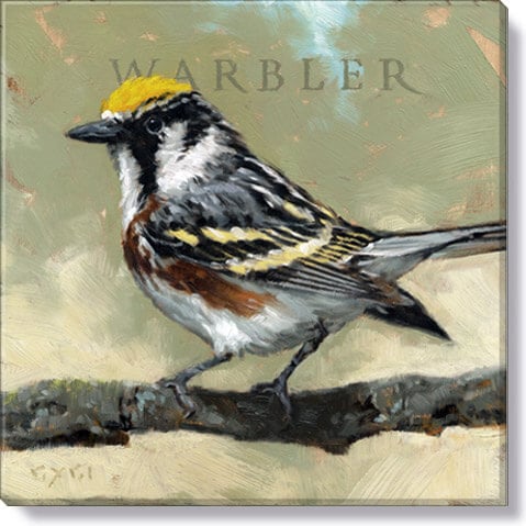 Warbler Giclee Wall Art       