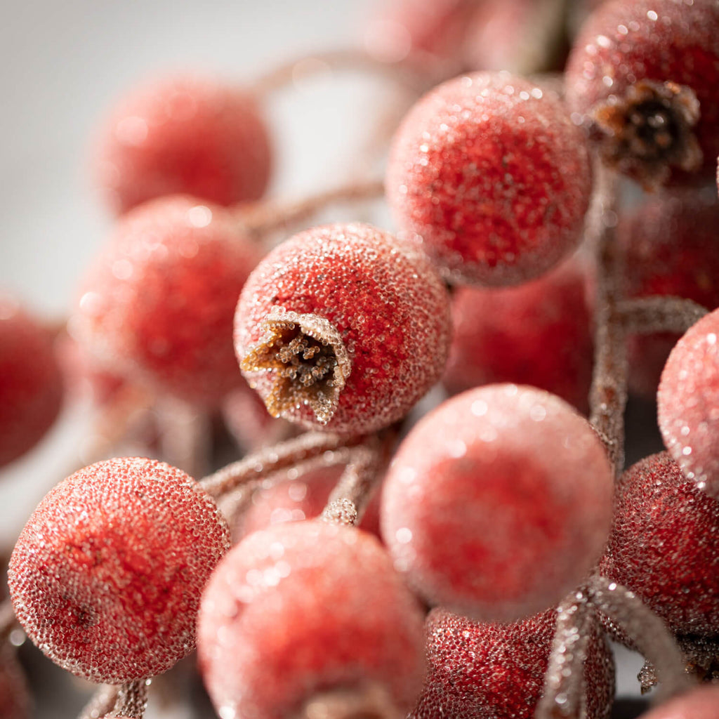 Red Frosted Berry Spray       