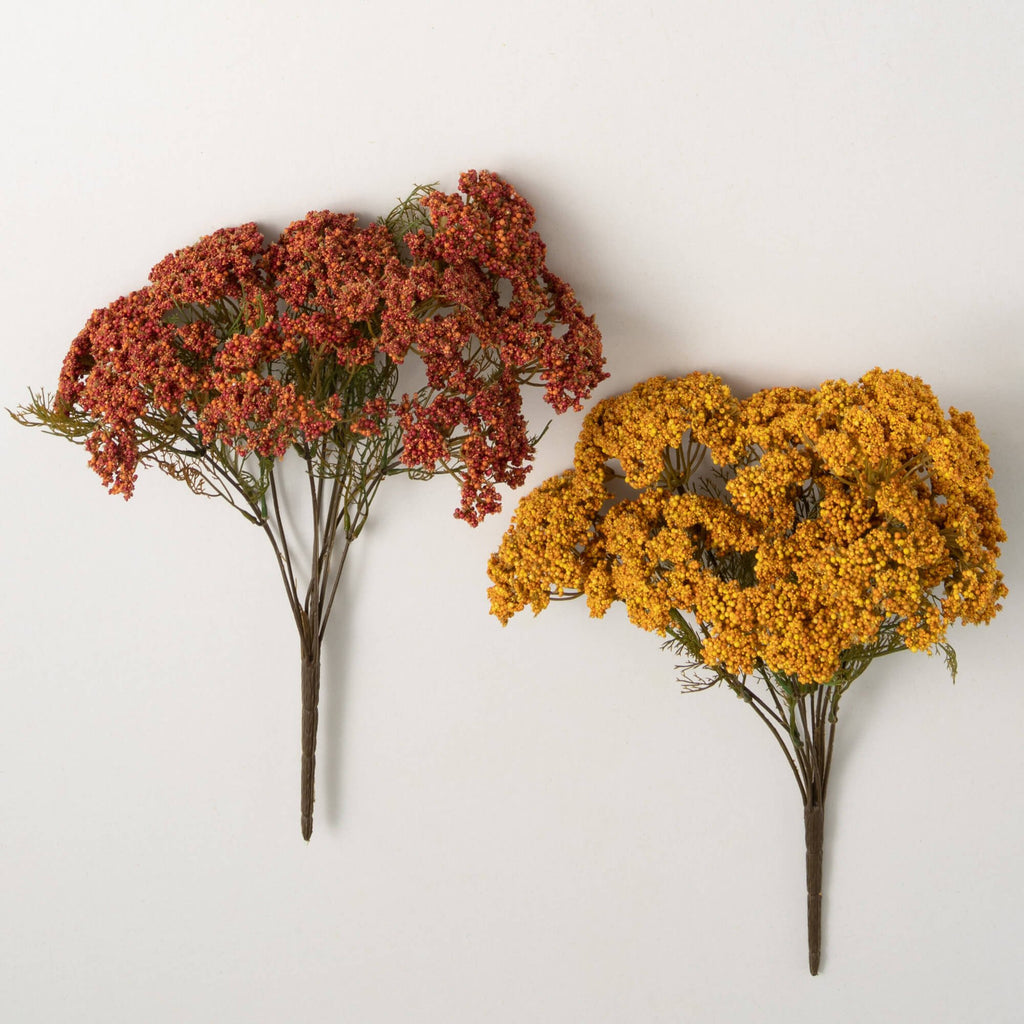 Warm Rustic Hued Yarrow Bush  