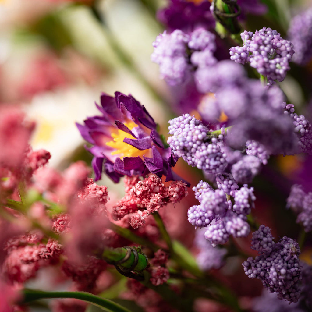 Colorful Wildflower Bushes    