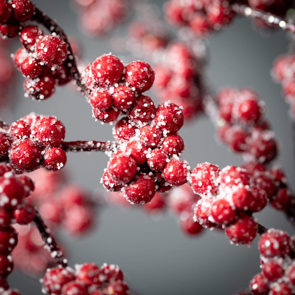 Frosted Berry Cluster Spray   