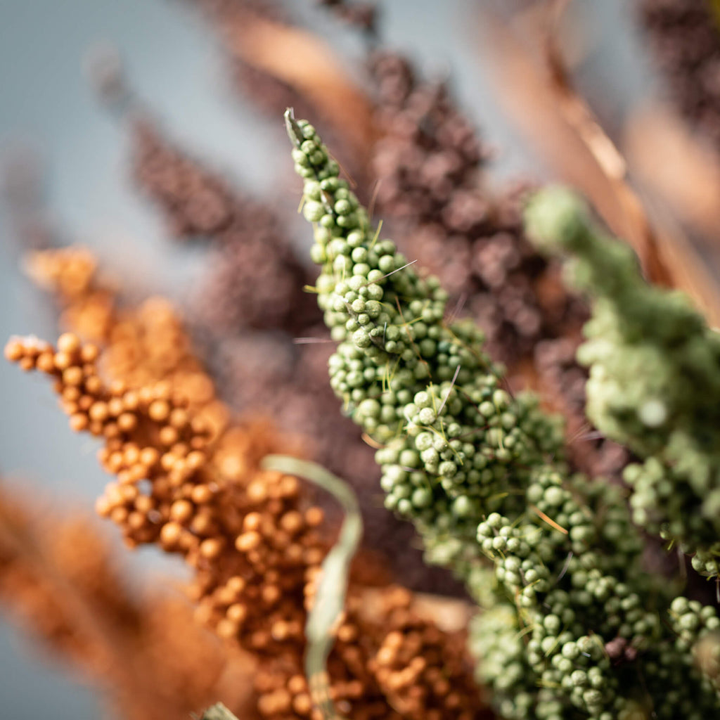 Dried Mini Berry Bush Trio    