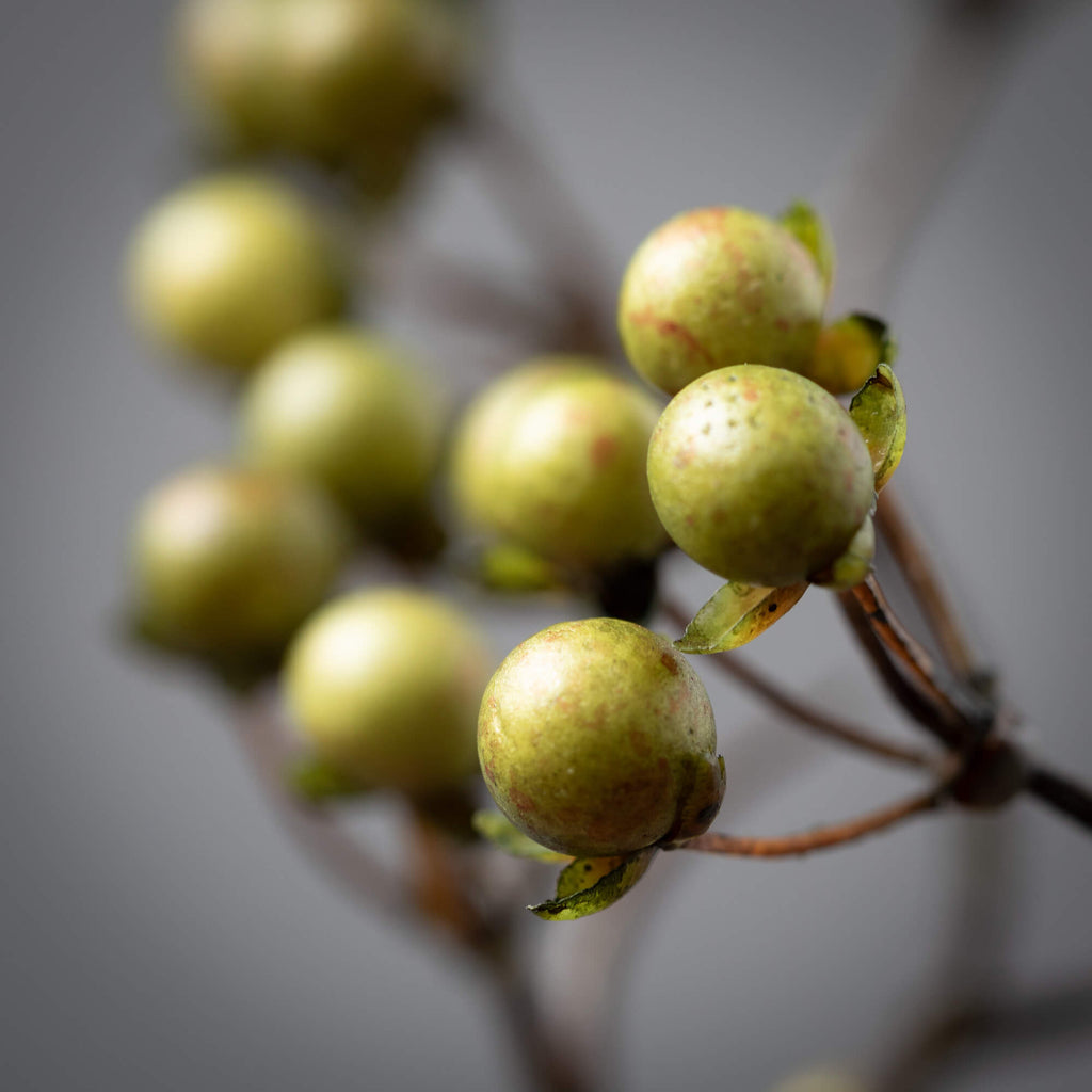 Green Berry Twig Spray        