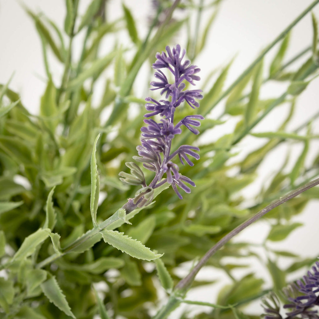 Double Lavender Topiary Bush  