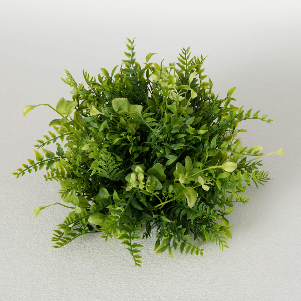 Fern Mixed Green Orb          