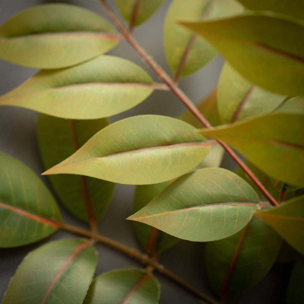 Yellow Green Ruscus Spray     