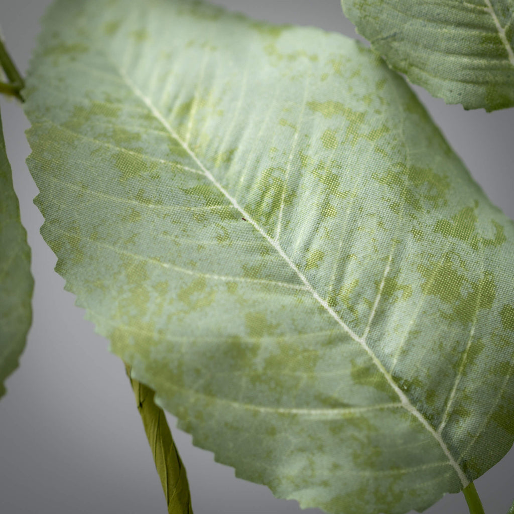 Long Lemon Leaf Spray         