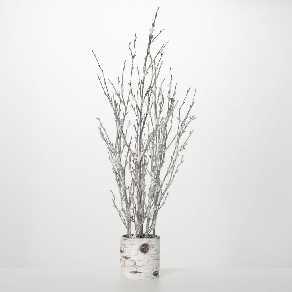 Potted Birch Branches                                                      