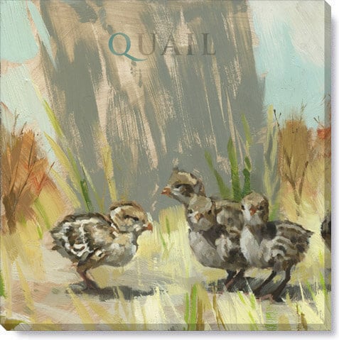 Baby Quail Giclee Wall Art    