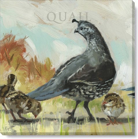 Mama Quail Giclee Wall Art    