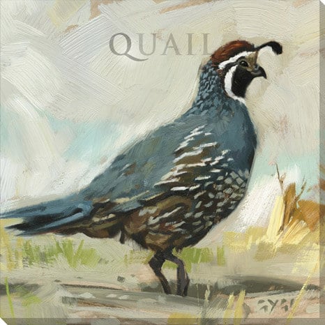 Papa Quail Giclee Wall Art    