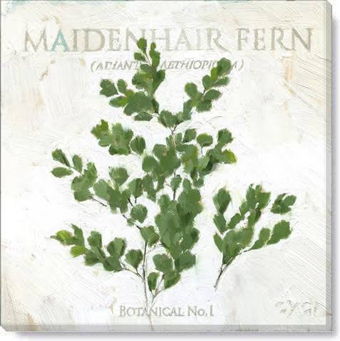 Maidenhair Fern Giclee Art    