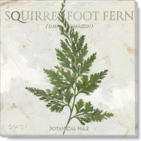 Squirrel Foot Fern Giclee Art 