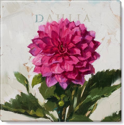 Dahlia Giclee Wall Art        