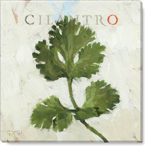 Cilantro Giclee Wall Art      