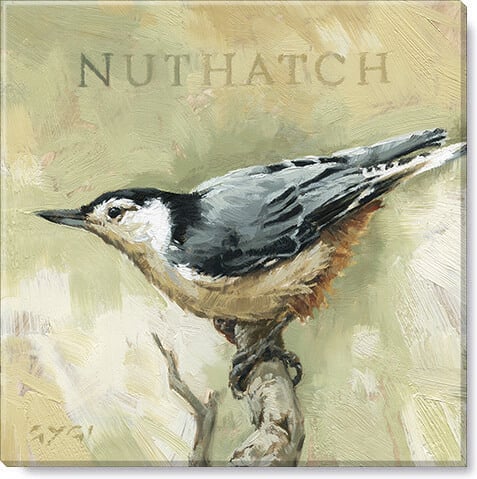 Nuthatch Giclee Wall Art      