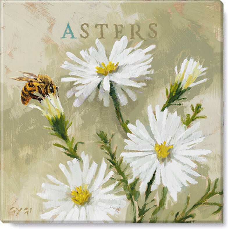 Aster Giclee Wall Art         