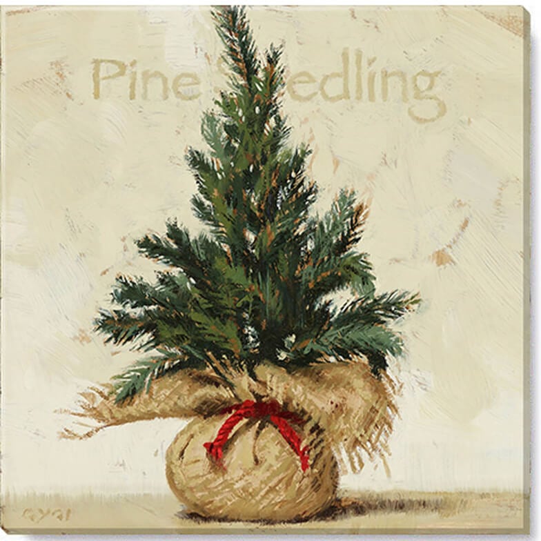 Pine Seedling Giclee Wall Art 