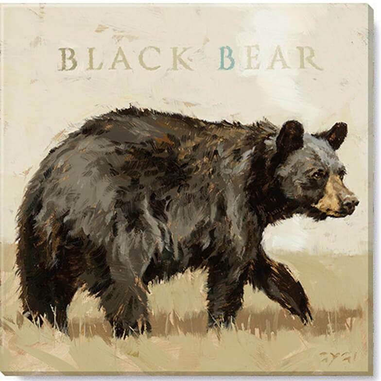 Black Bear Giclee Wall Art    