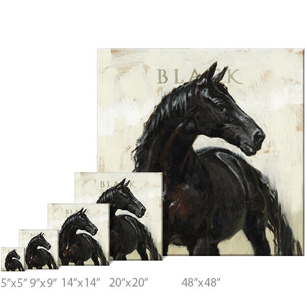 Black Horse Giclee Wall Art   