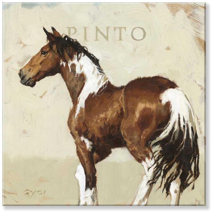 Pinto Horse Giclee Wall Art   