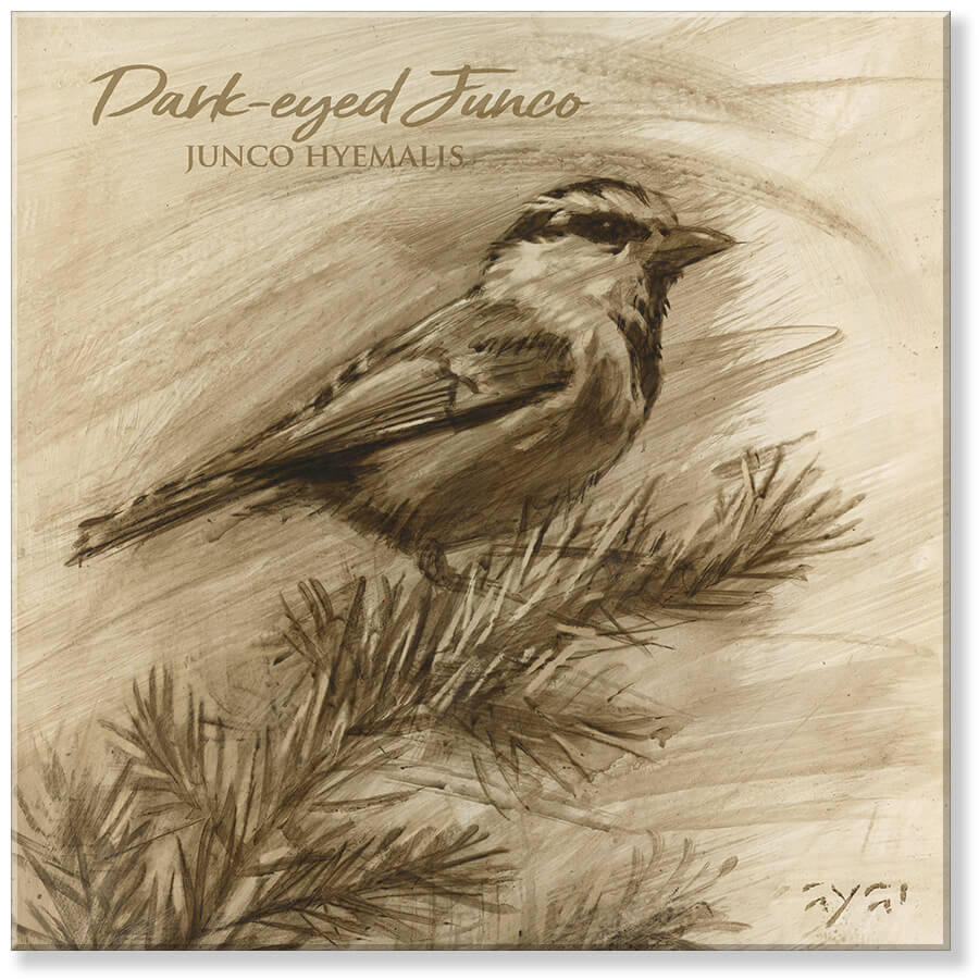 Sepia Dark-Eyed Junco Art     