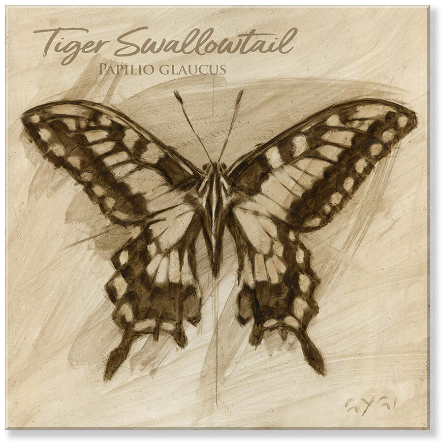 Sepia Tiger Swallowtail Art   