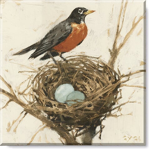 Robin On A Nest Canvas Art    