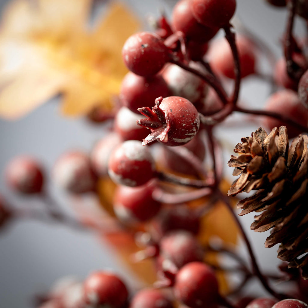 Fall Berry Leaf Pick          