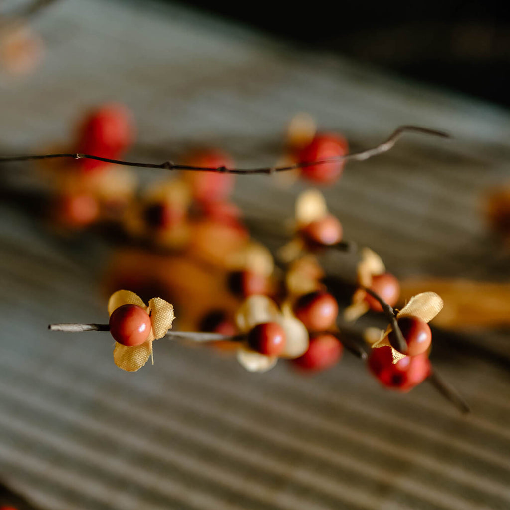 Bittersweet Garland           